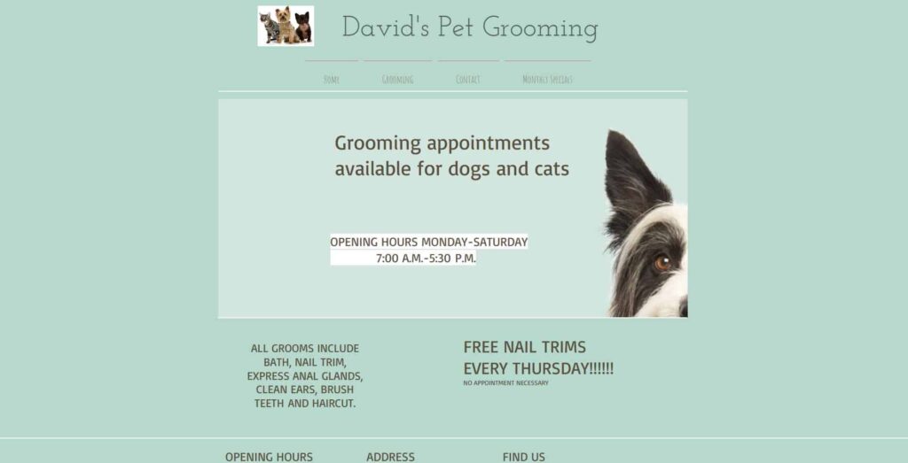 Davids Pet Grooming Homepage_1