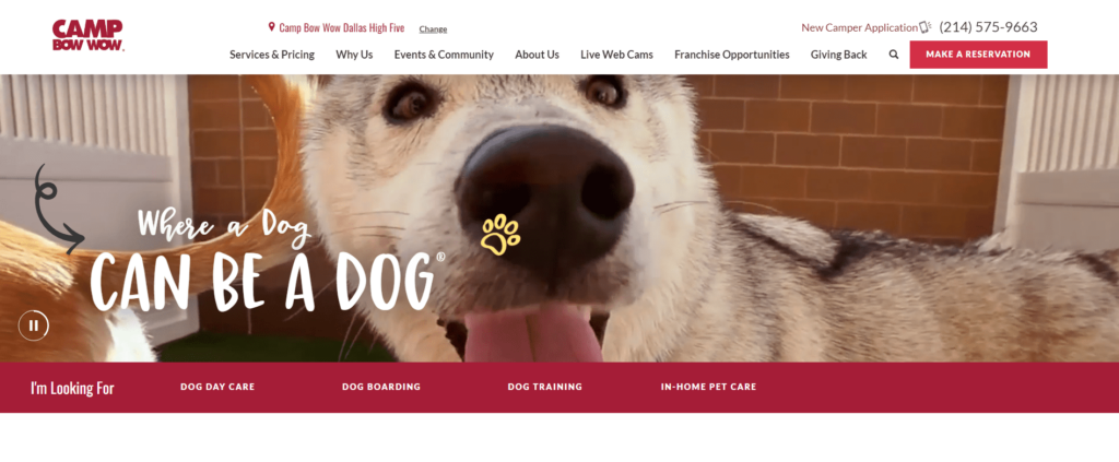 Camp Bow Wow Homepage