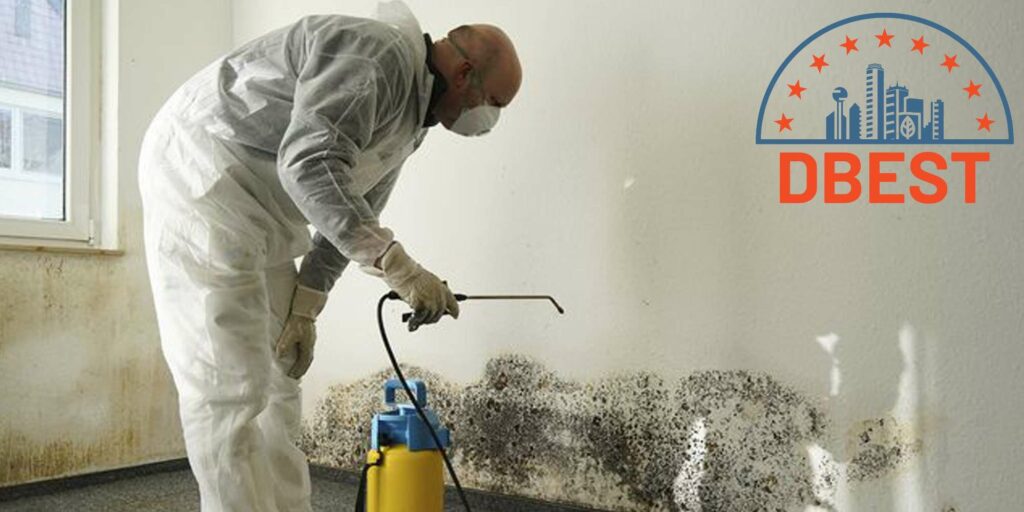 The 5 Best Mold Inspection Companies In Dallas