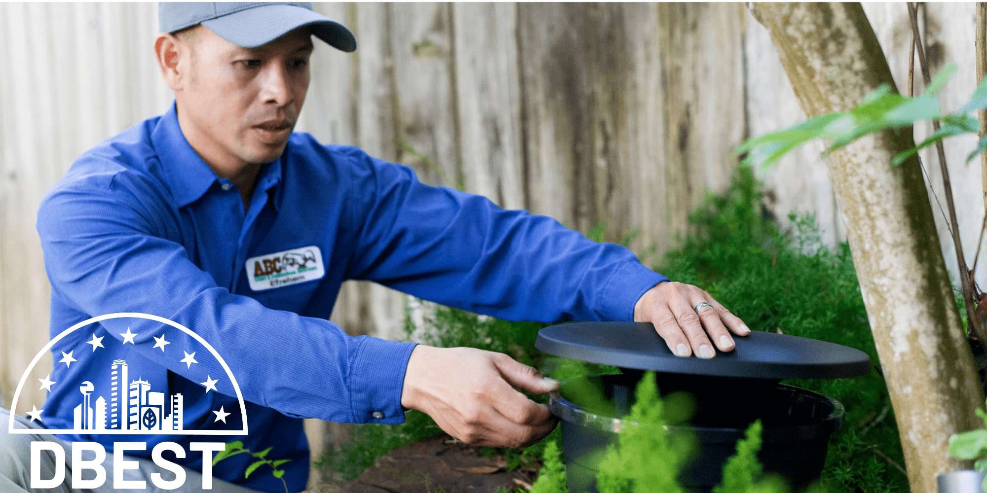 The 5 Best Mosquito Control Services in Dallas