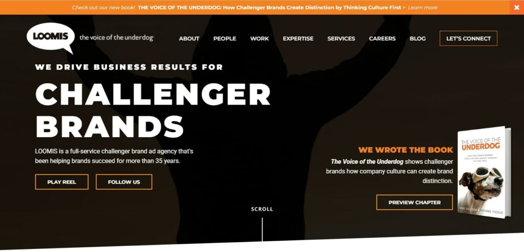 The Loomis Agency's Homepage
