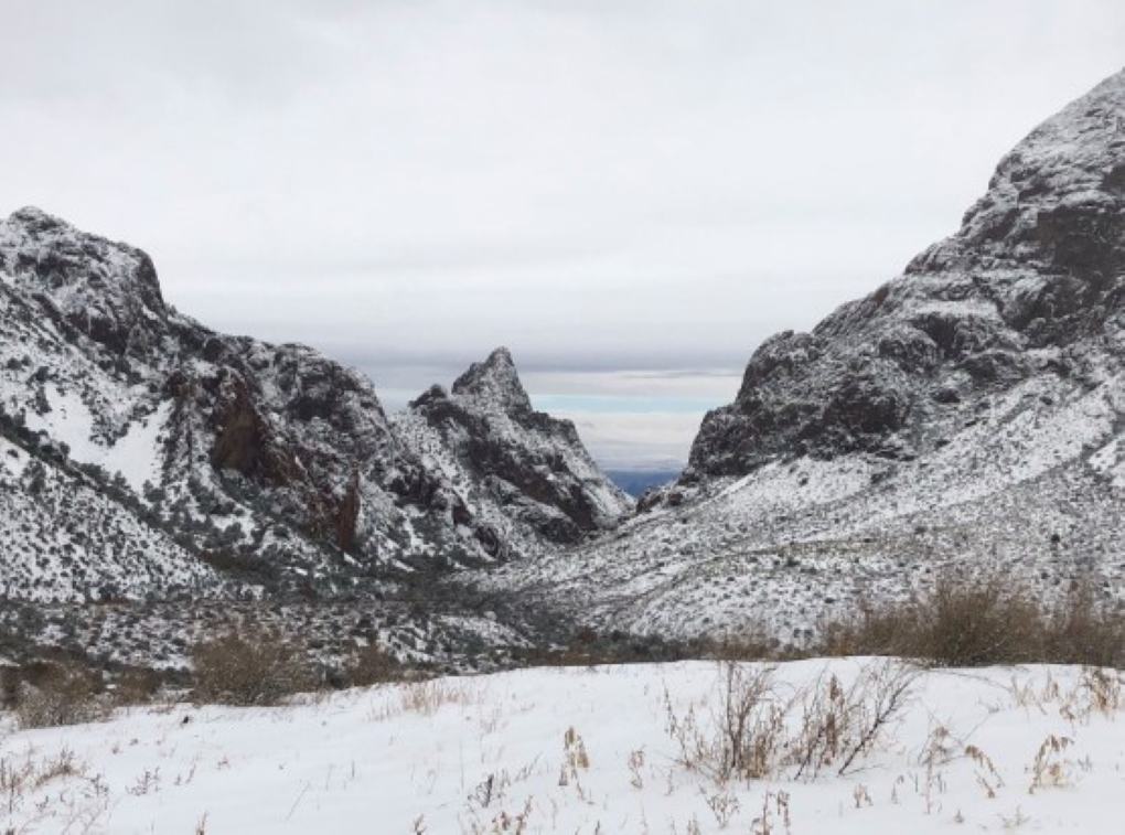 Big Bend National Park's Homepage
