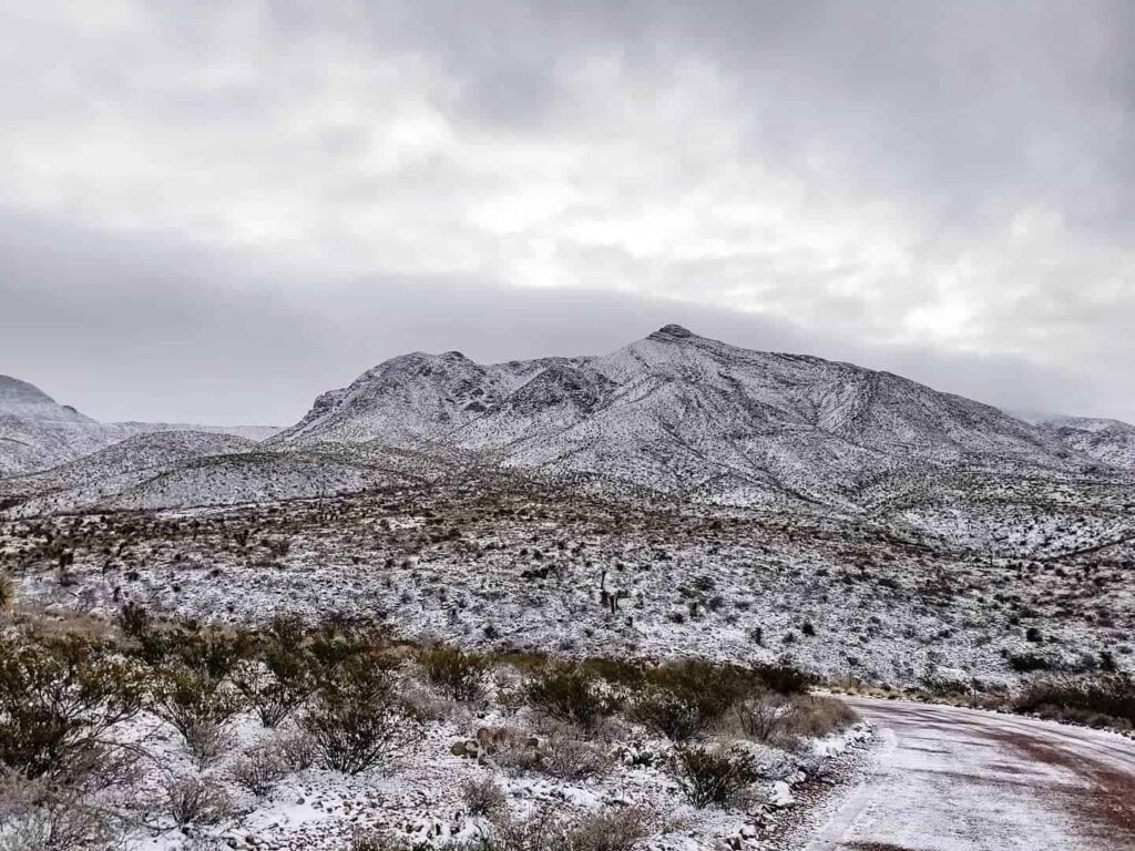 El Paso's Homepage