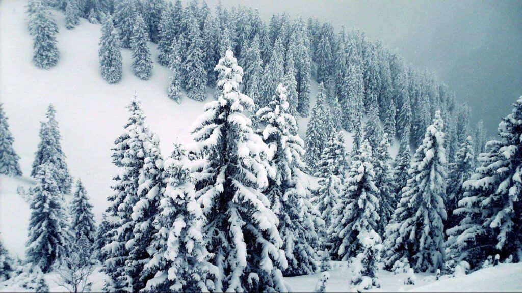 How often does it snow in Texas