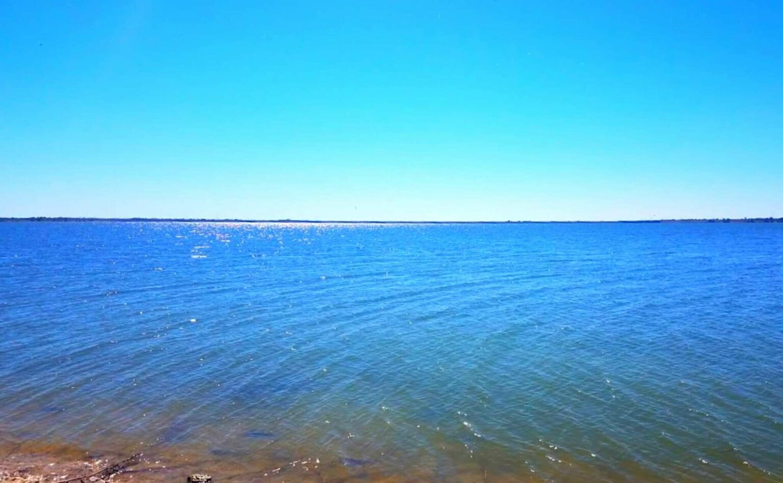 Swimming in Dallas Lakes What You Need to Know [2023 ]