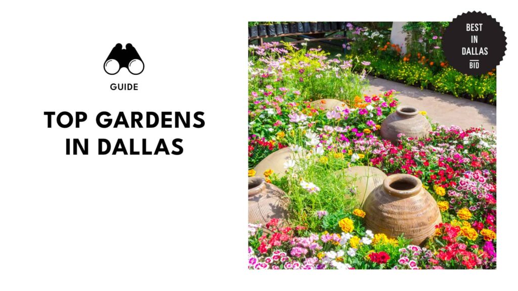 6 Must-See Botanical Gardens in Dallas for Every Nature Lover