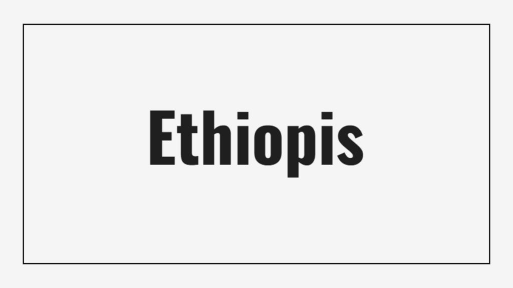 ethiopis-travel-immigration-and-tax-services-logo