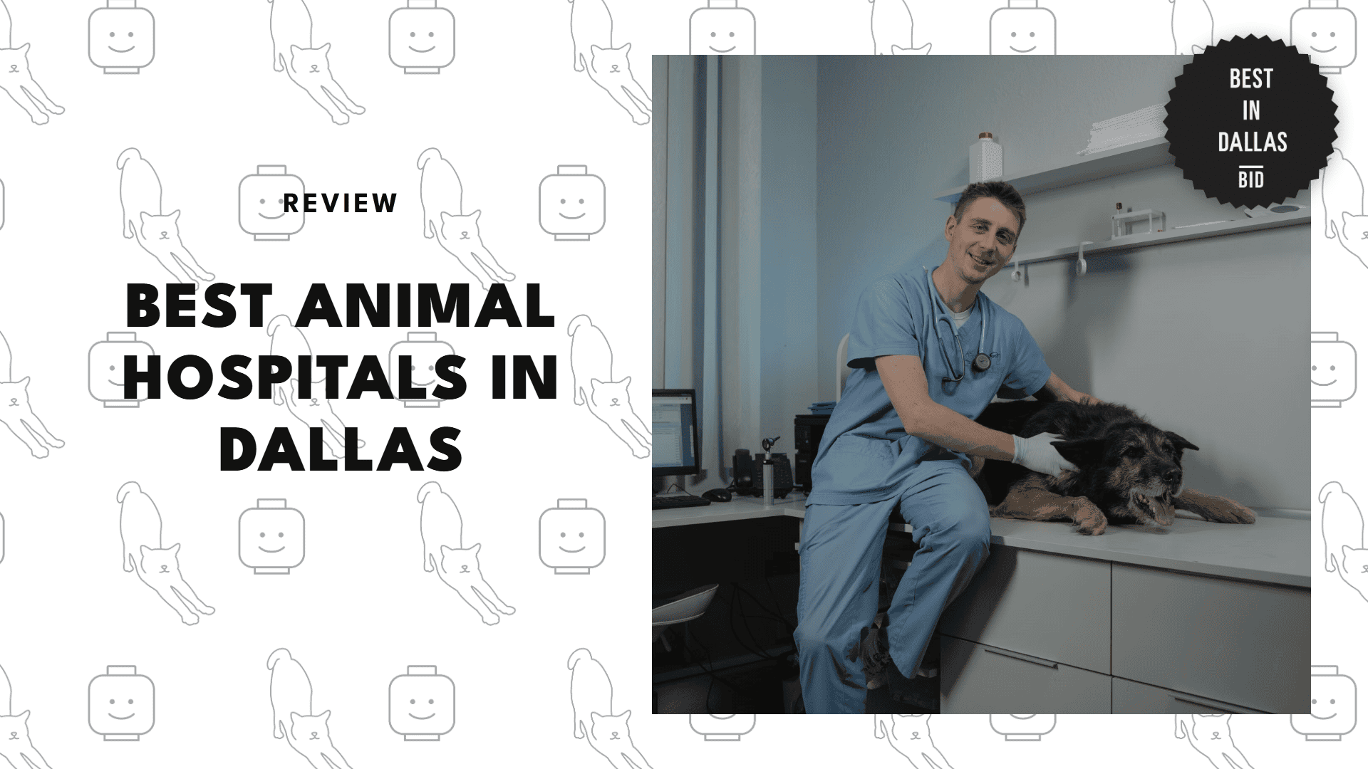 best-animal-hospitals-dallas
