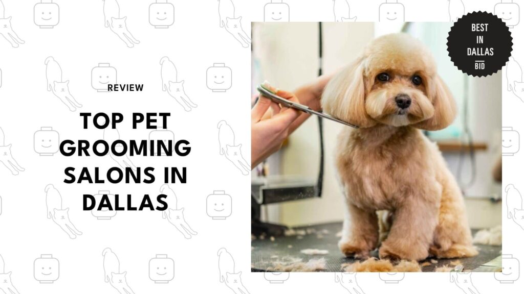 best-pet-grooming-dallas