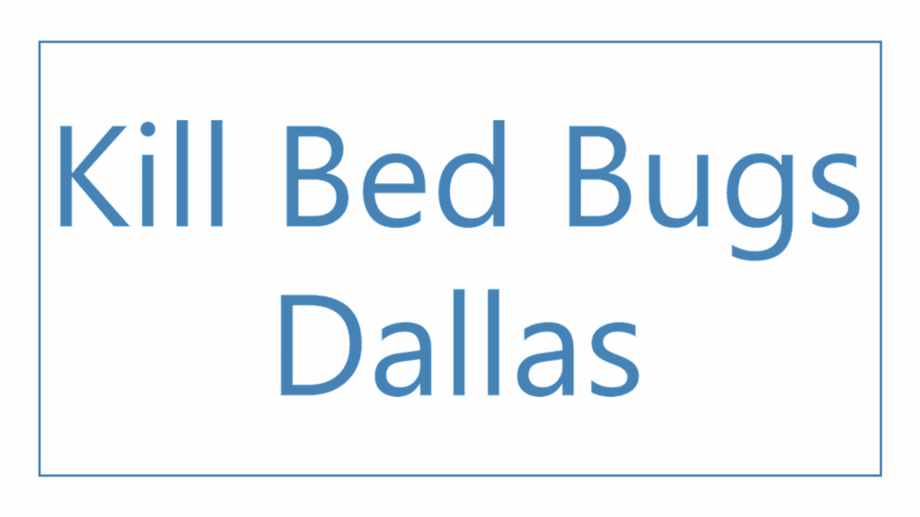 kill-bed-bugs-dallas