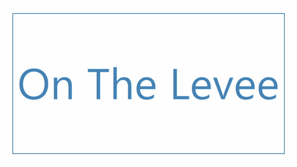 on-the-levee